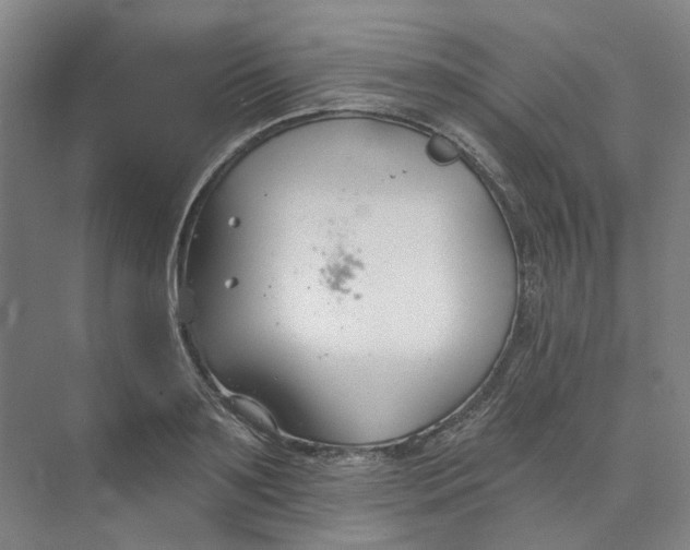 X0000073950891200609111647