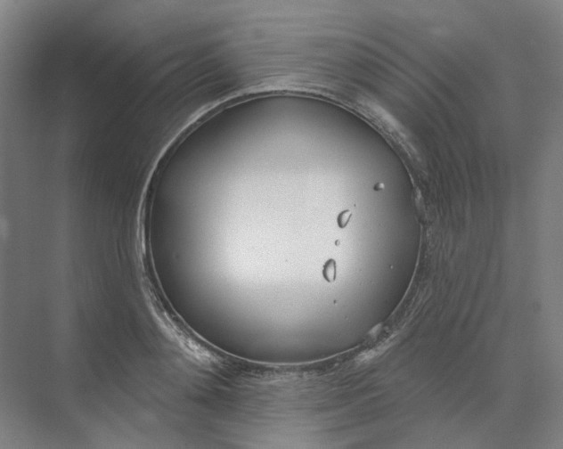 X0000073950892200609111647