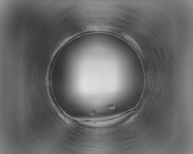 X0000073950893200609111647