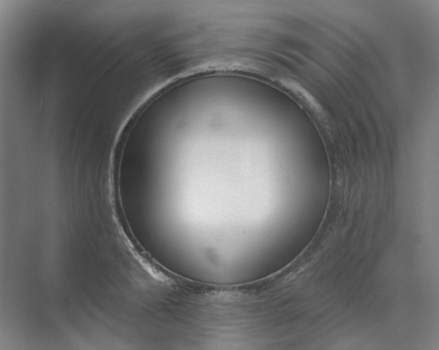 X0000073950894200609111647