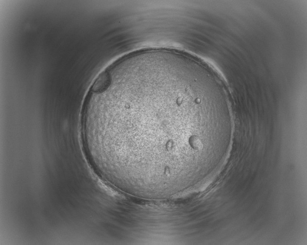 X0000073950895200609111647