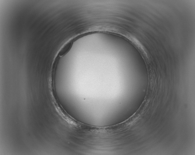 X0000073950896200609111647