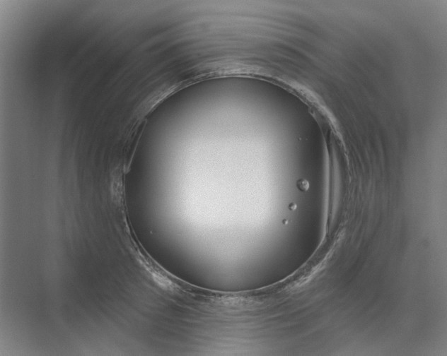 X0000073950897200609111647