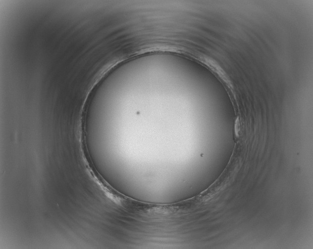 X0000073950898200609111647