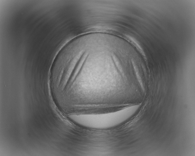 X0000073950899200609111647