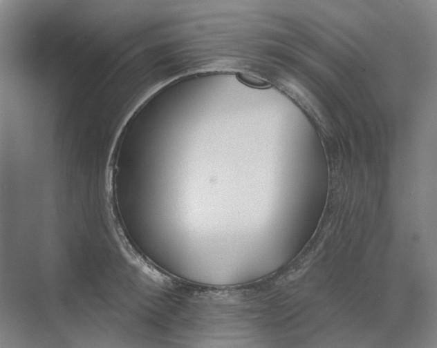 X0000073950900200609111647