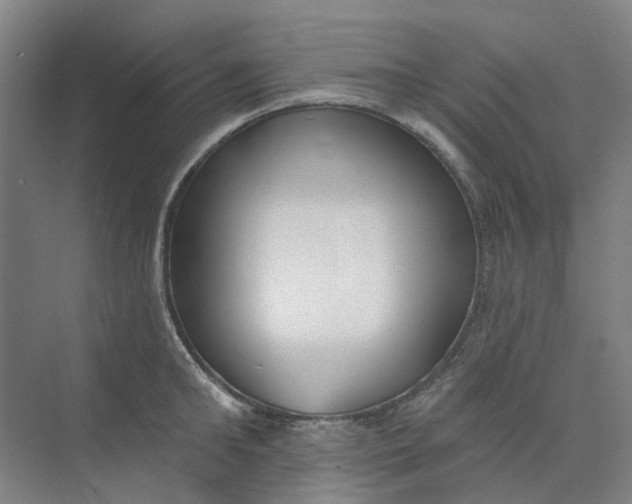 X0000073950902200609111647