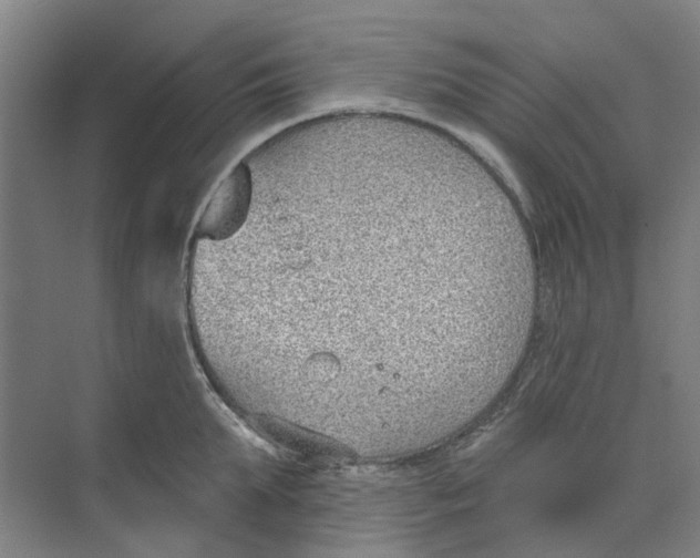 X0000073950903200609111647