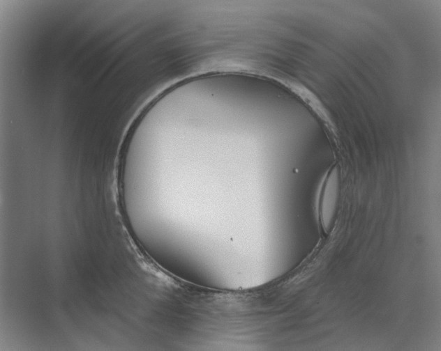 X0000073950904200609111647