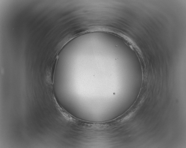 X0000073950905200609111647