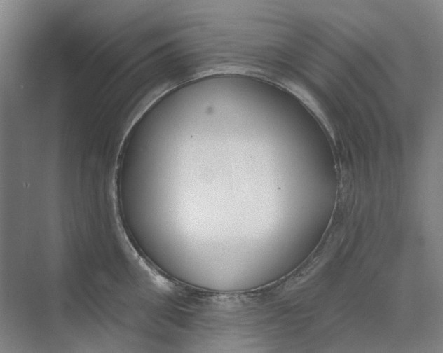 X0000073950906200609111647