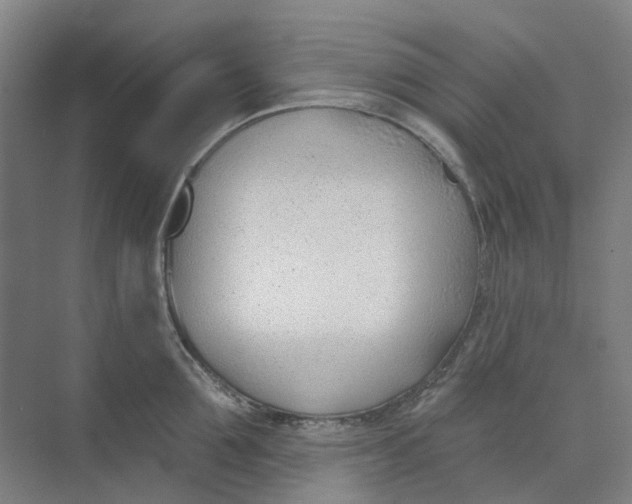 X0000073950907200609111647