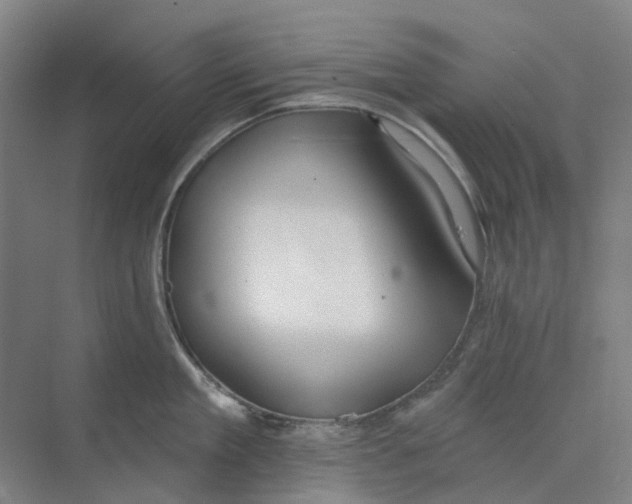 X0000073950909200609111647