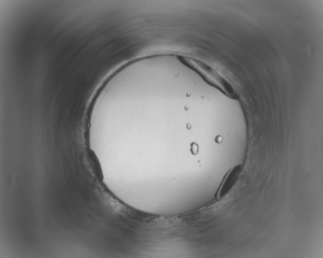 X0000073950912200609111647