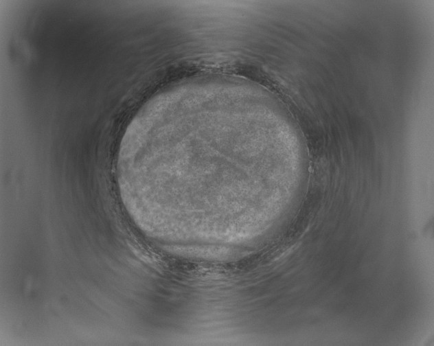 X0000073950913200609111646