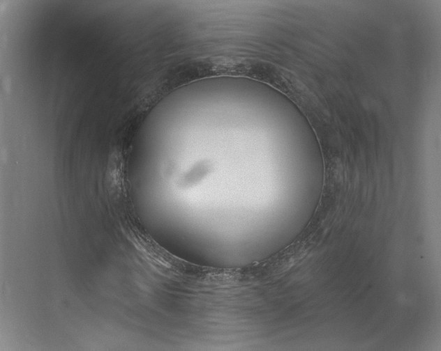 X0000073950914200609111646