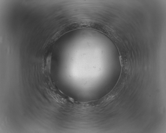 X0000073950916200609111646