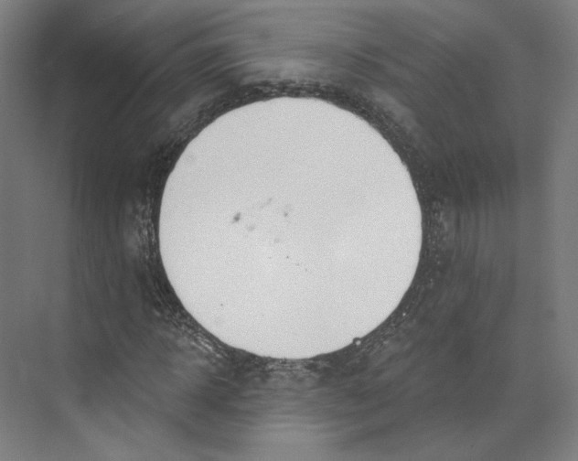 X0000073950918200609111646