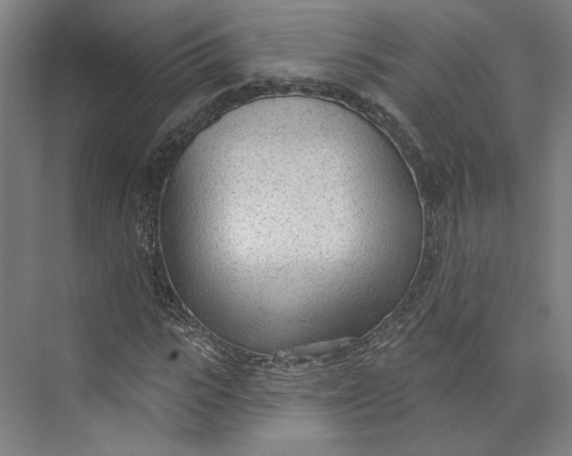 X0000073950919200609111646