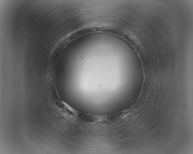 X0000073950920200609111646