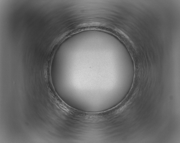 X0000073950921200609111646