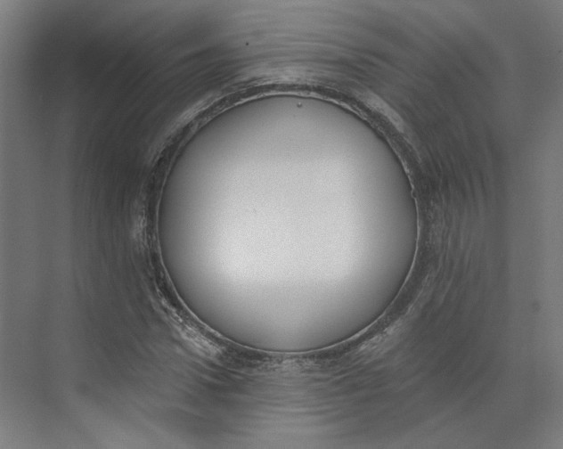 X0000073950922200609111646