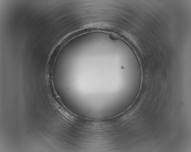 X0000073950923200609111646