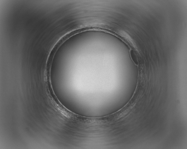 X0000073950924200609111646