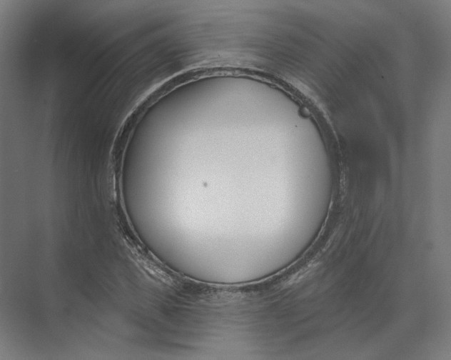 X0000073950925200609111646