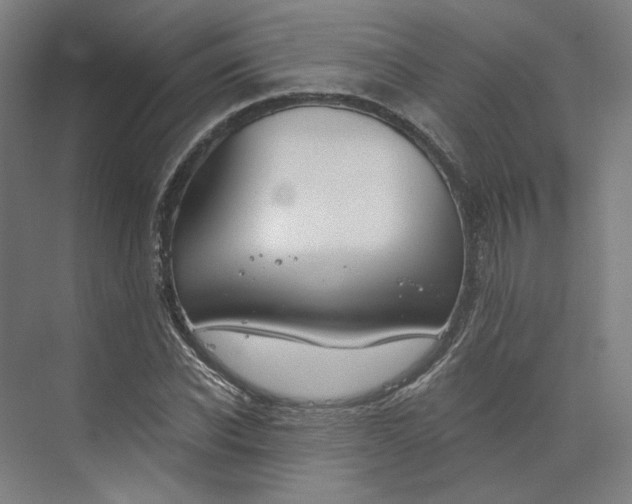 X0000073950926200609111646