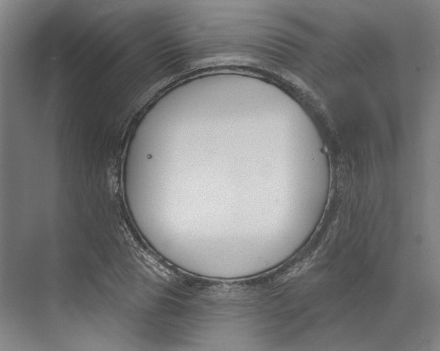 X0000073950929200609111646