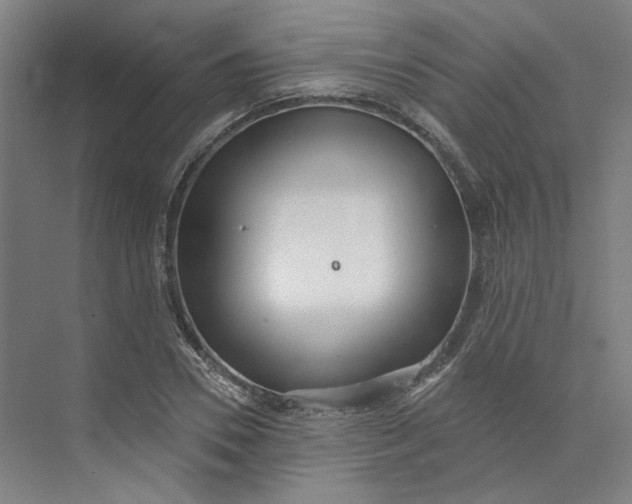 X0000073950930200609111646