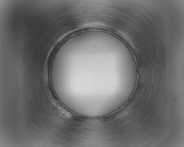 X0000073950931200609111646