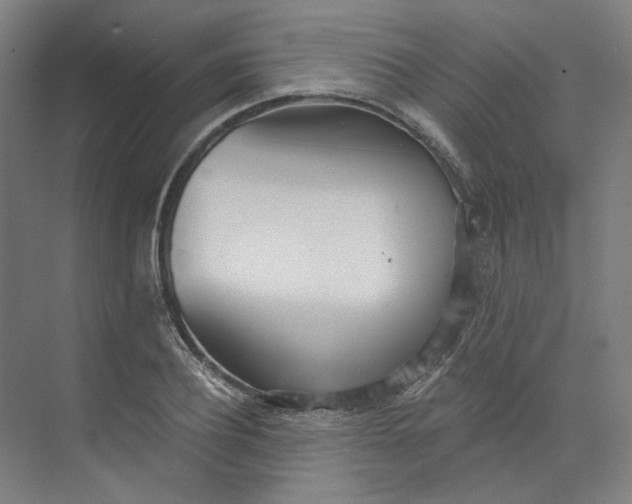 X0000073950932200609111646