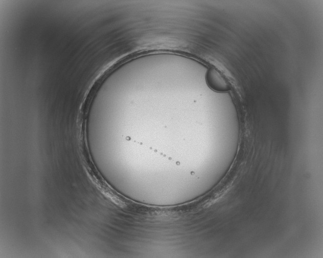 X0000073950933200609111646