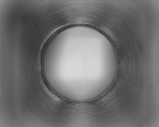 X0000073950934200609111646