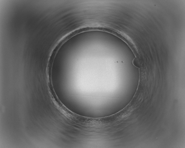 X0000073950935200609111646