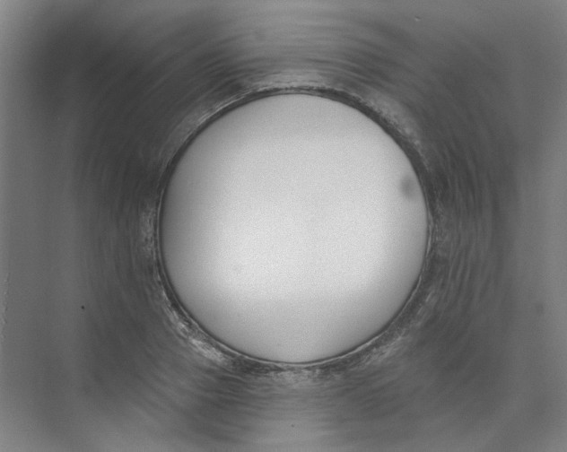 X0000073950937200609111646