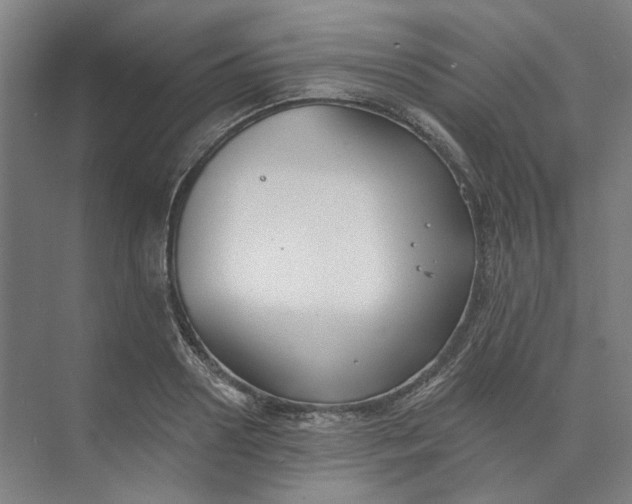 X0000073950938200609111646