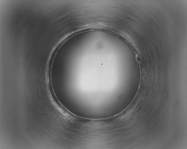 X0000073950939200609111646