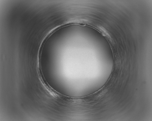 X0000073950940200609111646