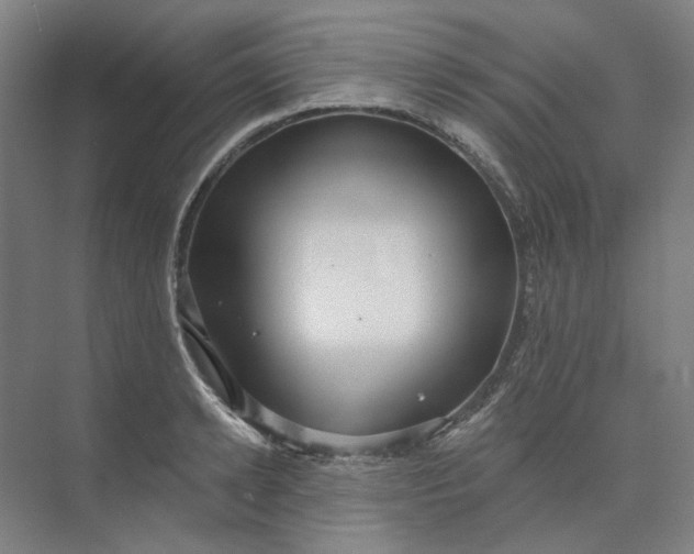 X0000073950942200609111646