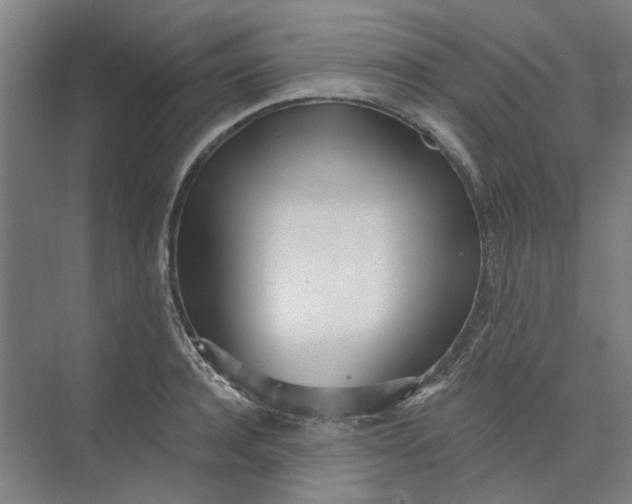 X0000073950944200609111646