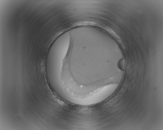 X0000073950945200609111646