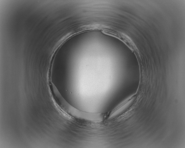 X0000073950946200609111646