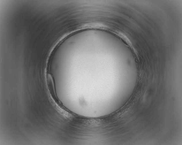 X0000073950947200609111646