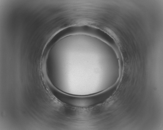 X0000073950948200609111647