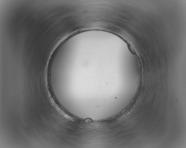 X0000073950949200609111647