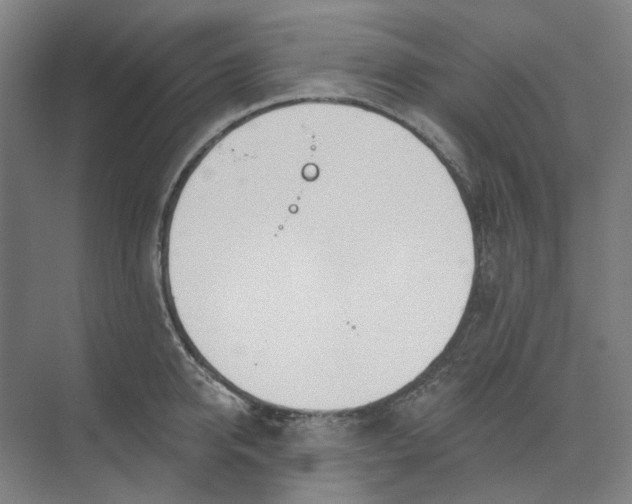 X0000073950950200609111647