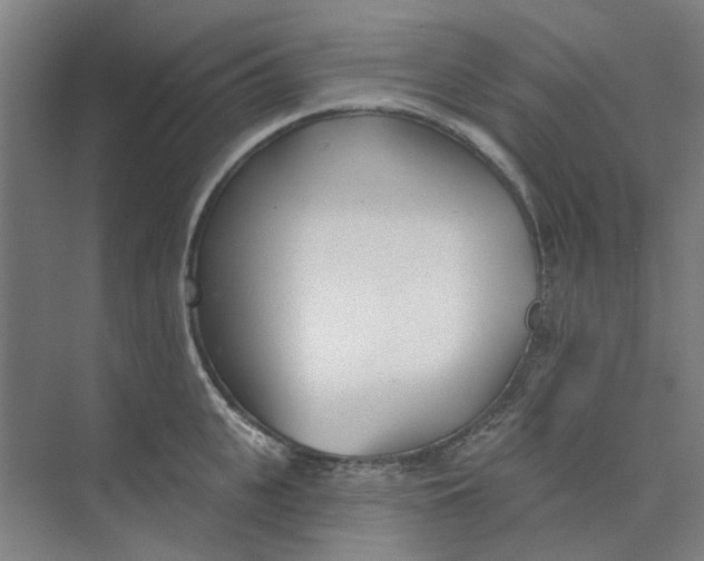 X0000073950951200609111647